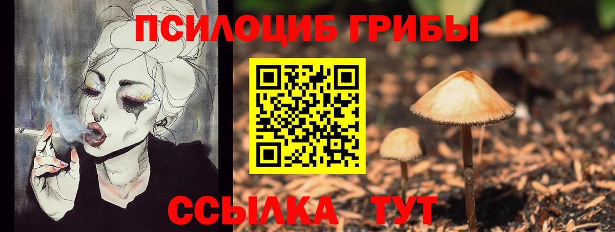 Галлюциногенные грибы Psilocybe Азов