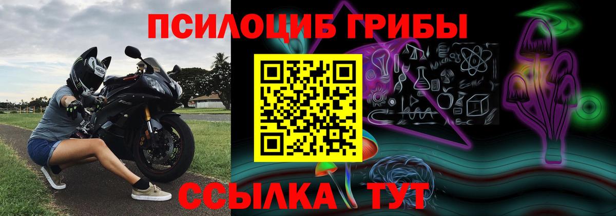 Псилоцибиновые грибы MAGIC MUSHROOMS  Вход с VPN  Азов 